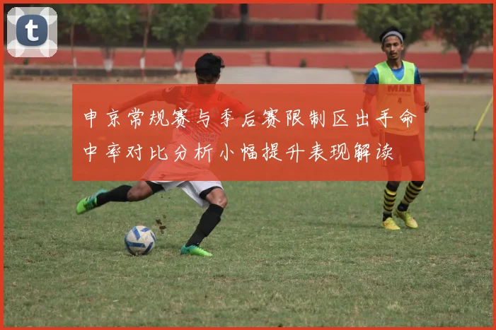 申京常规赛与季后赛限制区出手命中率对比分析小幅提升表现解读